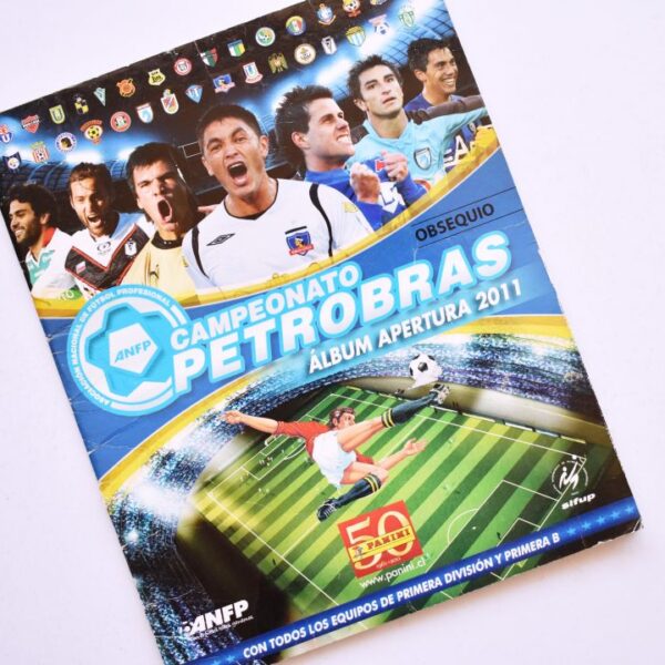 Fútbol 2011
