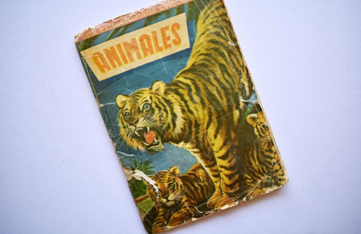 Una Extraordinaria Colección de Animales (Coda y Cía