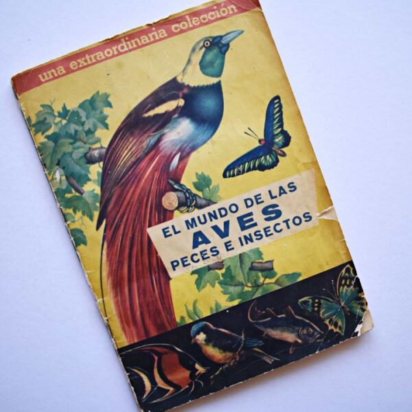 El mundo de las aves (Coda y Cía