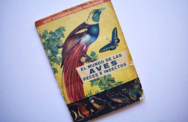 El mundo de las aves (Coda y Cía