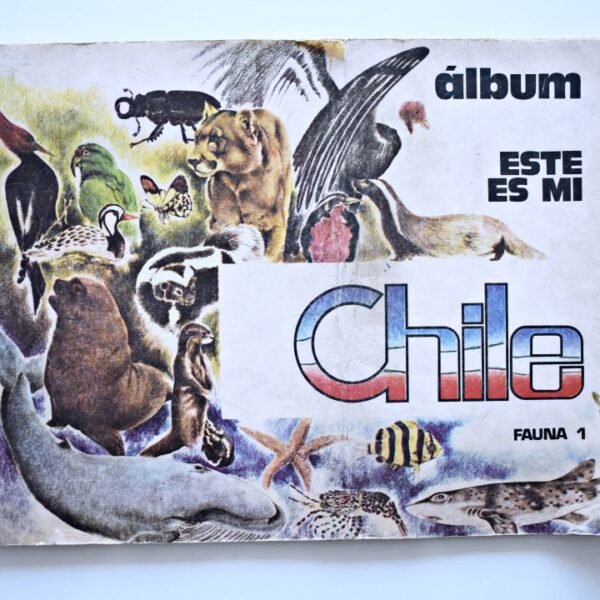 Este es mi Chile Amenabar (Independiente