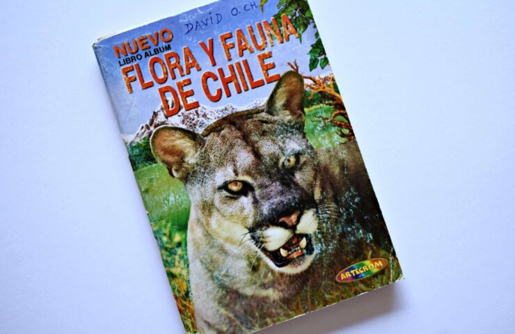 Flora y Fauna de Chile (Artecrom