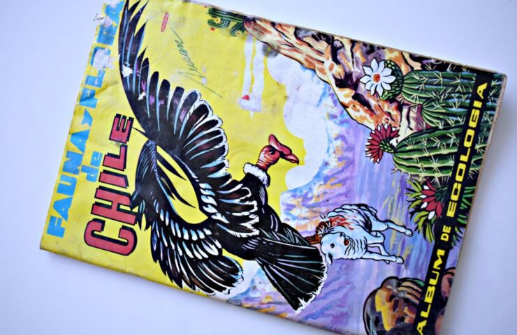 Fauna y Flora de Chile (Artecrom