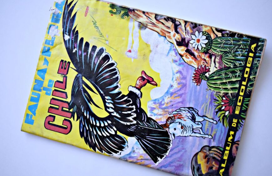 Fauna y Flora de Chile (Artecrom