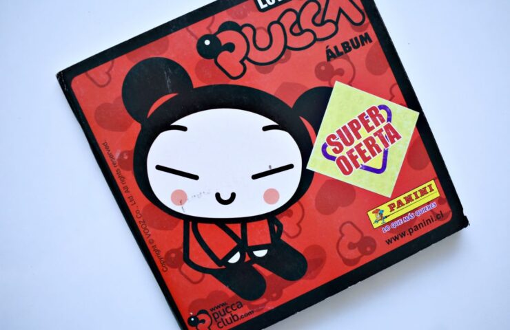 Pucca