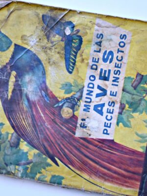 El mundo de las aves (Coda y Cía, 1986): Tiene 70 Láminas