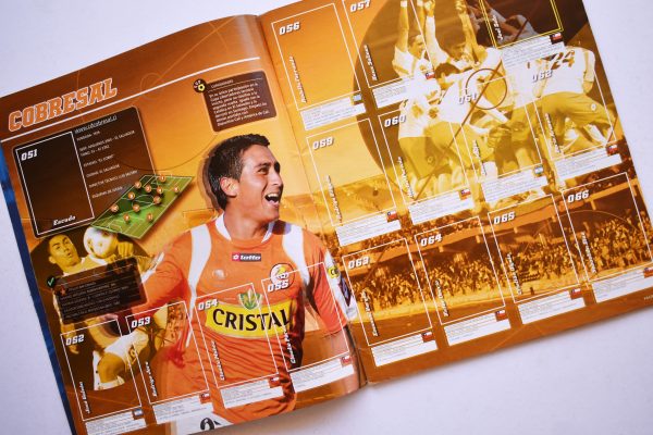 Fútbol 2011, Fútbol Petrobras 2011 (Panini, 2011): Álbum Vacío (Sin láminas)