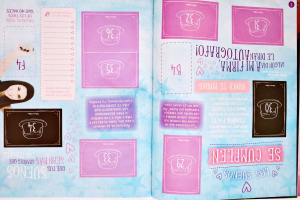 El Flantástico Álbum de Balentina Villagra (Panini, 2016): Álbum Vacío (Sin láminas)