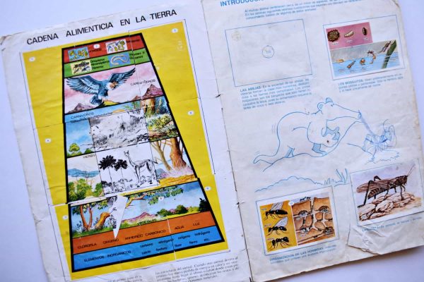 Mundo Animal (Artecrom, 1989): Faltan 50 Láminas (Álbum)
