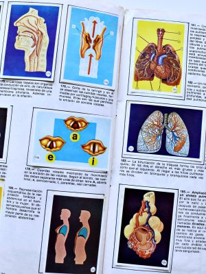 El Cuerpo Humano (Artecrom