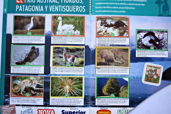Jumbo, Juntos por la Naturaleza II (Jumbo, 1994): Álbum Completo (Con todas sus láminas pegadas)