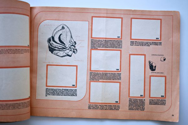 Este es mi Chile Amenabar (Independiente, 1971): Álbum Vacío (Sin láminas)