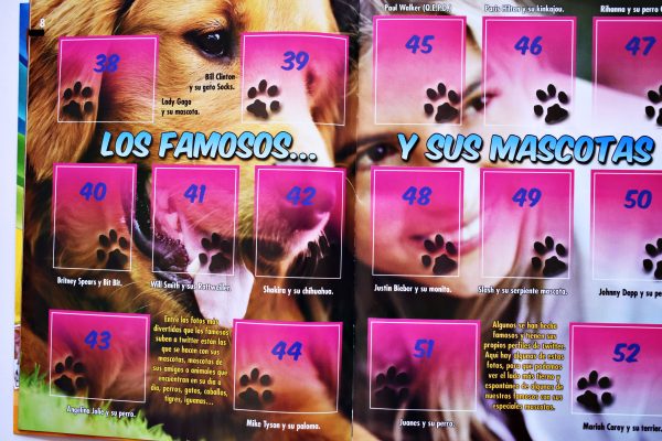 Mis Amigos Las Mascotas (Rocarte, 2019): Álbum Vacío (Sin láminas)
