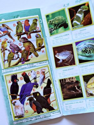 Flora y Fauna Edición Especial Para Estudiantes (Artecrom