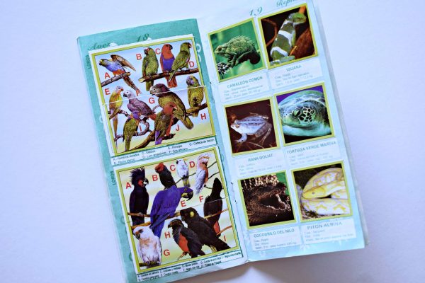 Flora y Fauna Edición Especial Para Estudiantes (Artecrom, 2014): Álbum Completo (Con todas sus láminas pegadas)