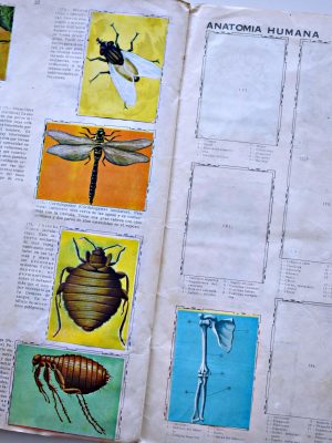 Álbum Enciclopédico (Artecrom