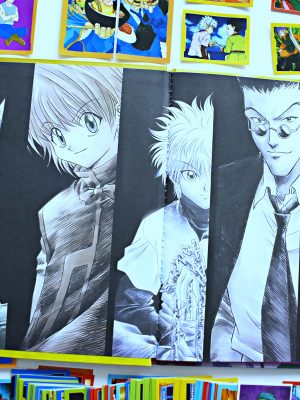 . Hunter X [Tapa Dura]: Álbum Completo A Pegar [Ultimos Disponibles] (1) foto 3