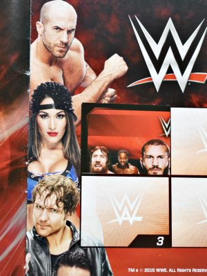 WWE 2015 (Klu