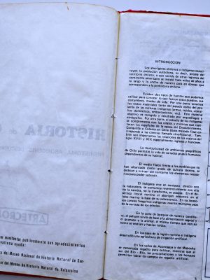 Historia de Chile Prehistoria a la Conquista [Tapa Dura] (Artecrom