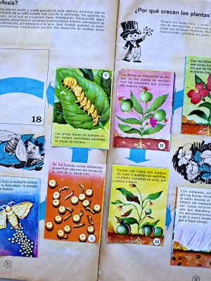 La Magia y los Por que? (Artecrom
