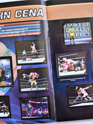 WWE 2015 (Klu