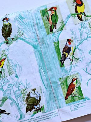 Animales ¡Maravilloso! (Artecrom