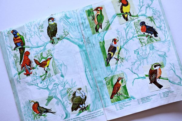 Animales ¡Maravilloso! (Artecrom, 2001): Álbum Completo (Con todas sus láminas pegadas)