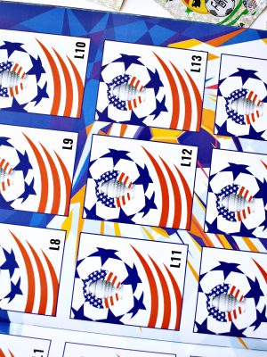 . Copa América 2024: Álbum Completo A Pegar [Ultimas Unidades] (1) foto 3