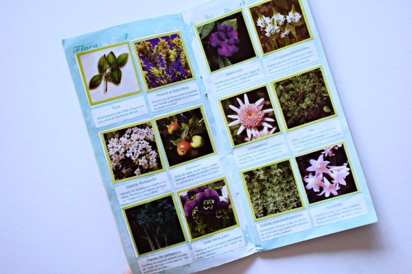 Flora y Fauna Edición Especial Para Estudiantes (Artecrom, 2014): Álbum Completo (Con todas sus láminas pegadas)