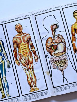 El Cuerpo Humano (Artecrom