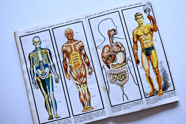 El Cuerpo Humano (Artecrom, 1990): Álbum Completo (Con todas sus láminas pegadas)