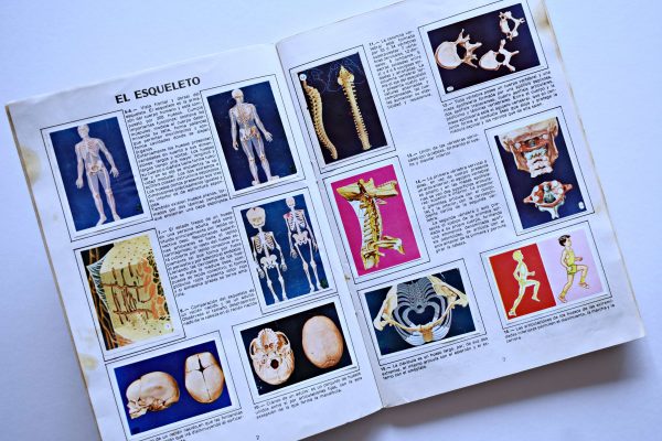 El Cuerpo Humano (Artecrom, 1990): Álbum Completo (Con todas sus láminas pegadas)