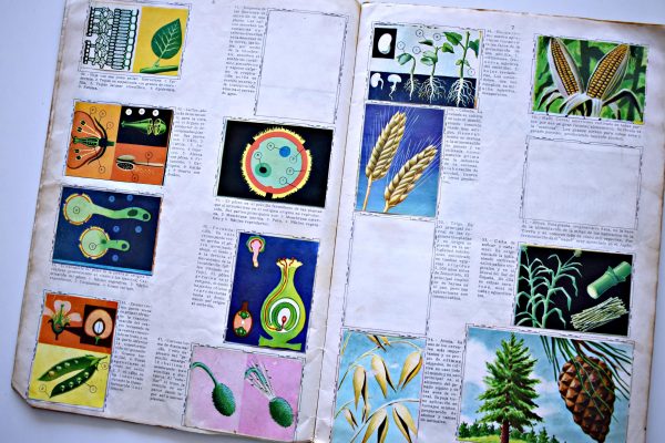 Álbum Enciclopédico (Artecrom, 1968): Faltan 88 Láminas (Álbum)