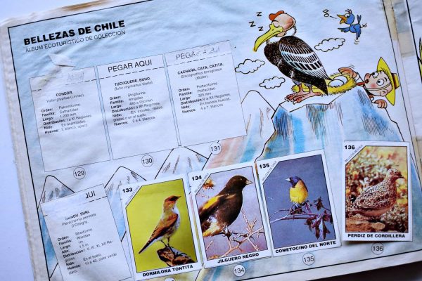 Bellezas de Chile (Copesa, 1994): Tiene 72 Láminas (Álbum)