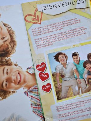 One Direction (Panini