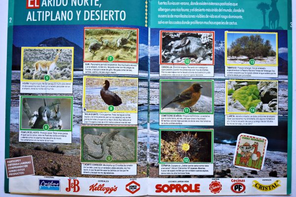 Jumbo, Juntos por la Naturaleza II (Jumbo, 1994): Álbum Completo (Con todas sus láminas pegadas)