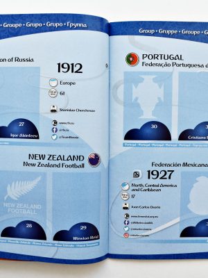 Copa Mundial 2019 Francia (Femenina) (Panini