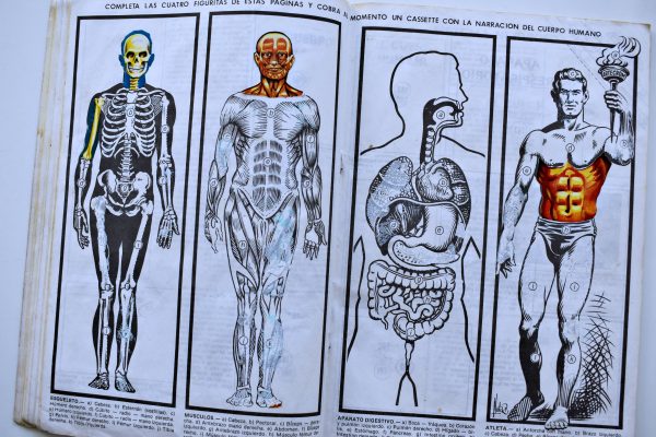 El Cuerpo Humano Tridimensional (Artecrom, 1989): Tiene 36 Láminas (Álbum)