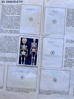 El Cuerpo Humano Tridimensional (Artecrom