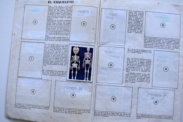 El Cuerpo Humano Tridimensional (Artecrom, 1989): Tiene 36 Láminas (Álbum)