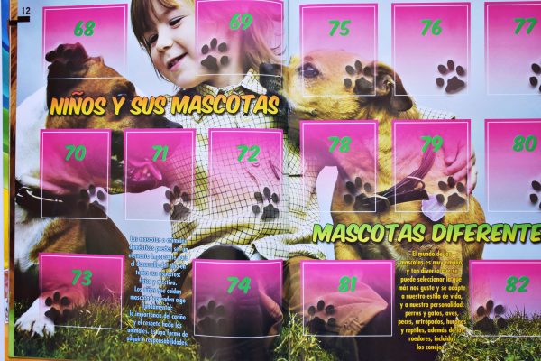 Mis Amigos Las Mascotas (Rocarte, 2019): Álbum Vacío (Sin láminas)