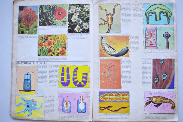 Álbum Enciclopédico (Artecrom, 1968): Álbum Completo (Con todas sus láminas pegadas)