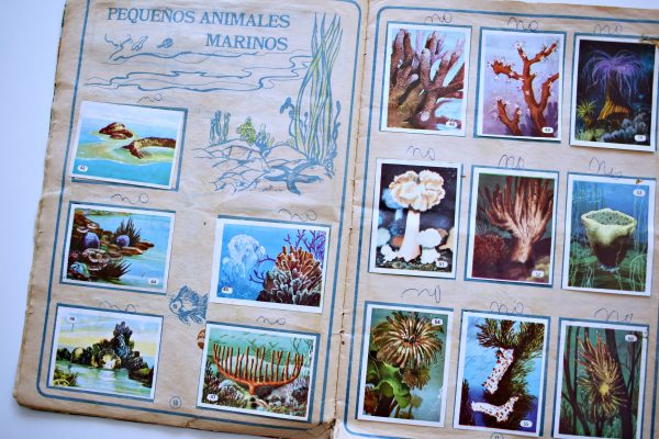 El Mar Fuente de Vida (Edicion Grande) (Artecrom, 1973): Tiene 225 Láminas (Álbum)