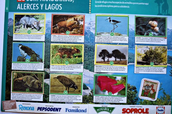 Jumbo, Juntos por la Naturaleza II (Jumbo, 1994): Álbum Completo (Con todas sus láminas pegadas)
