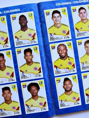 Copa América 2019 Brasil (Panini
