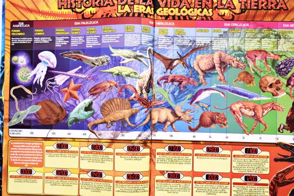 Dinosaurios 2007 (Salo, 2007): Álbum Vacío (Sin láminas)