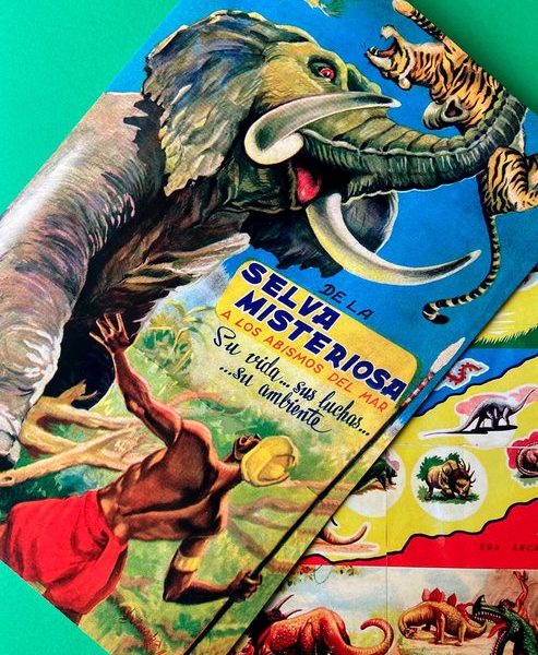 SELVA MISTERIOSA: Álbum Completo A Pegar foto 1