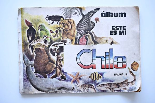 Este es mi Chile Amenabar (Independiente, 1971): Álbum Vacío (Sin láminas)