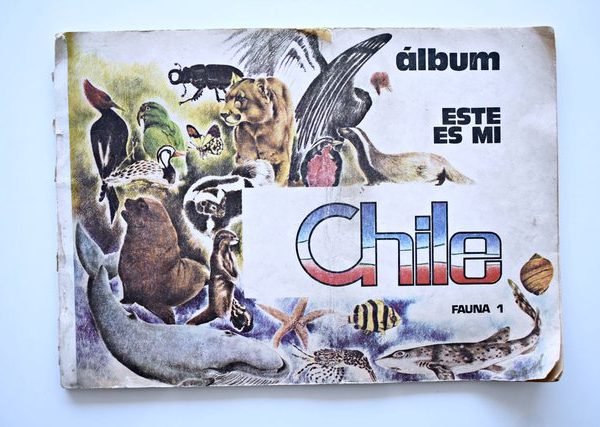 Este es mi Chile Amenabar (Independiente