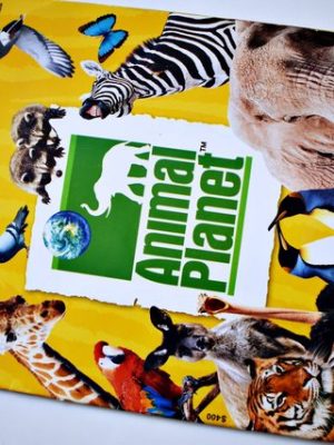 Animal Planet (Rocarte, 2006): Tiene 43 Láminas